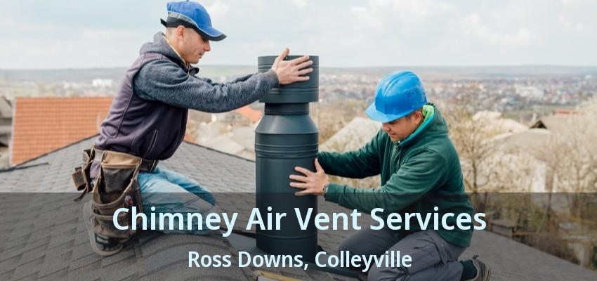 Chimney Air Vent Services Ross Downs, Colleyville - TX