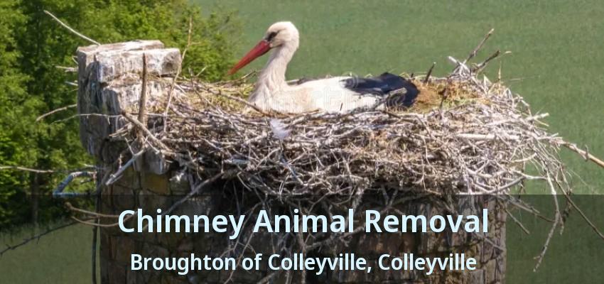 Chimney Animal Removal Broughton of Colleyville, Colleyville - TX