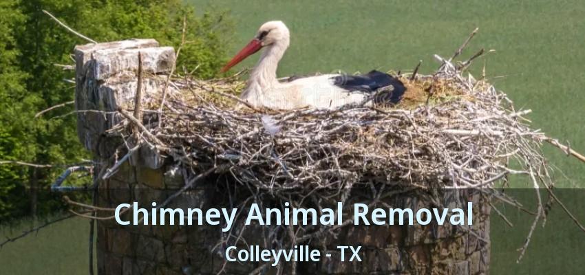 Chimney Animal Removal Colleyville - TX