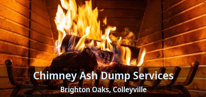 Chimney Ash Dump Services Brighton Oaks, Colleyville - TX