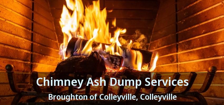 Chimney Ash Dump Services Broughton of Colleyville, Colleyville - TX