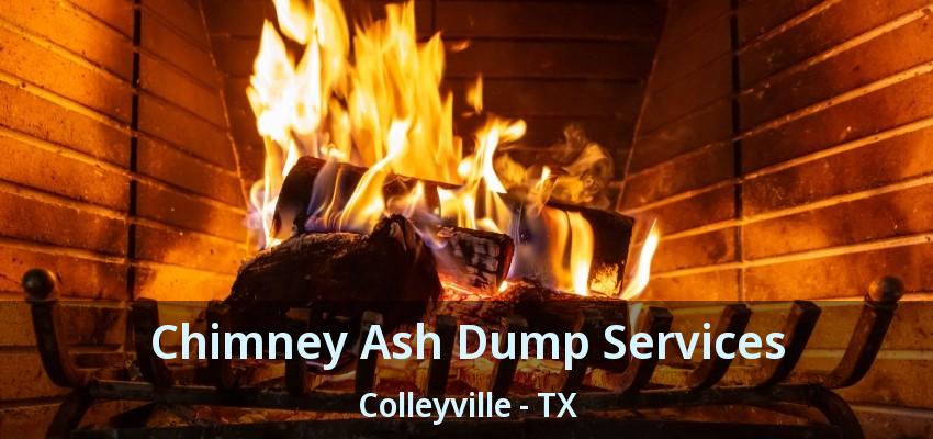 Chimney Ash Dump Services Colleyville - TX