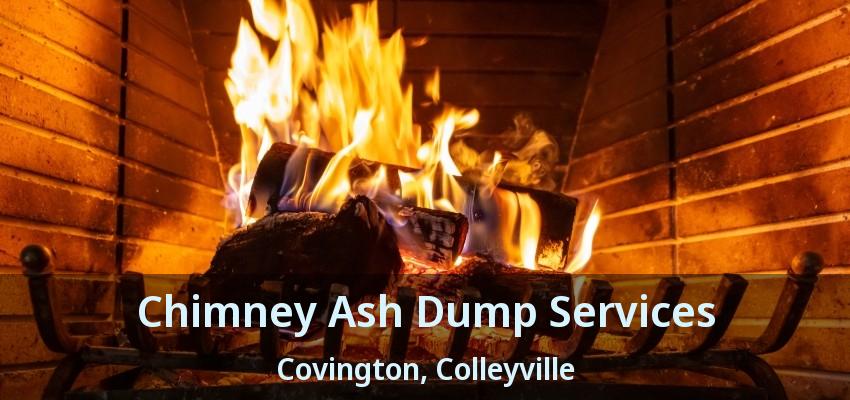 Chimney Ash Dump Services Covington, Colleyville - TX