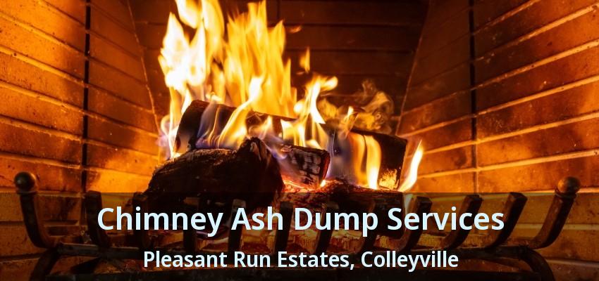 Chimney Ash Dump Services Pleasant Run Estates, Colleyville - TX