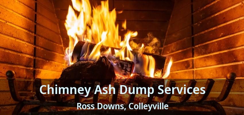 Chimney Ash Dump Services Ross Downs, Colleyville - TX