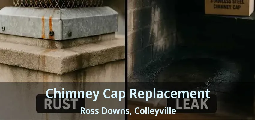 Chimney Cap Replacement Ross Downs, Colleyville - TX