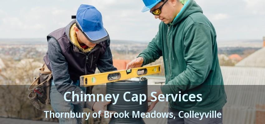 Chimney Cap Services Thornbury of Brook Meadows, Colleyville - TX