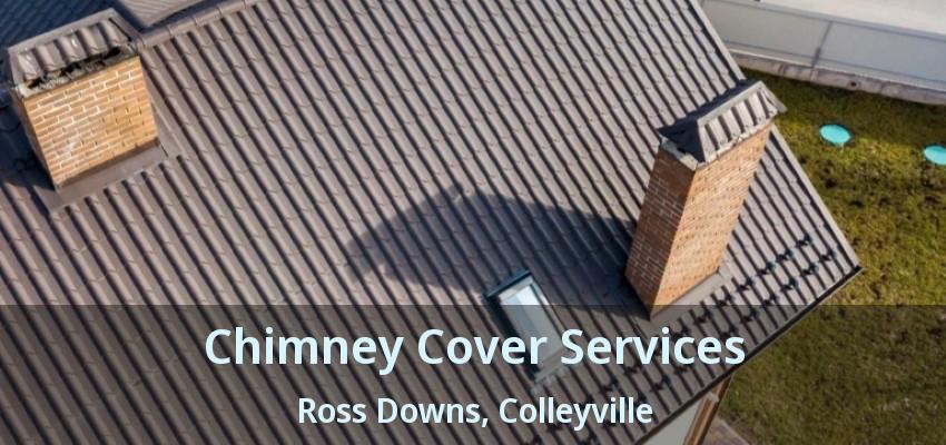 Chimney Cover Services Ross Downs, Colleyville - TX