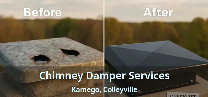 Chimney Damper Services Kamego, Colleyville - TX