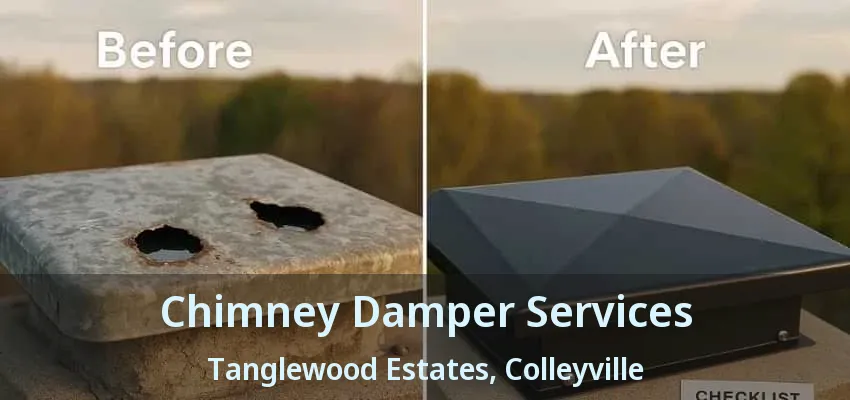 Chimney Damper Services Tanglewood Estates, Colleyville - TX