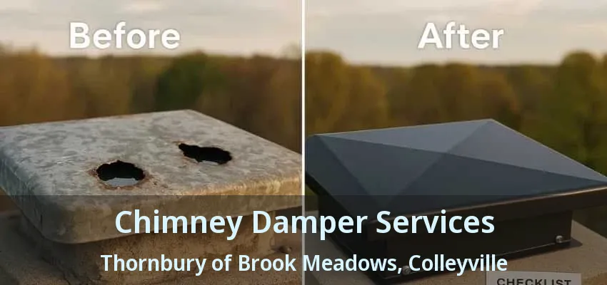 Chimney Damper Services Thornbury of Brook Meadows, Colleyville - TX
