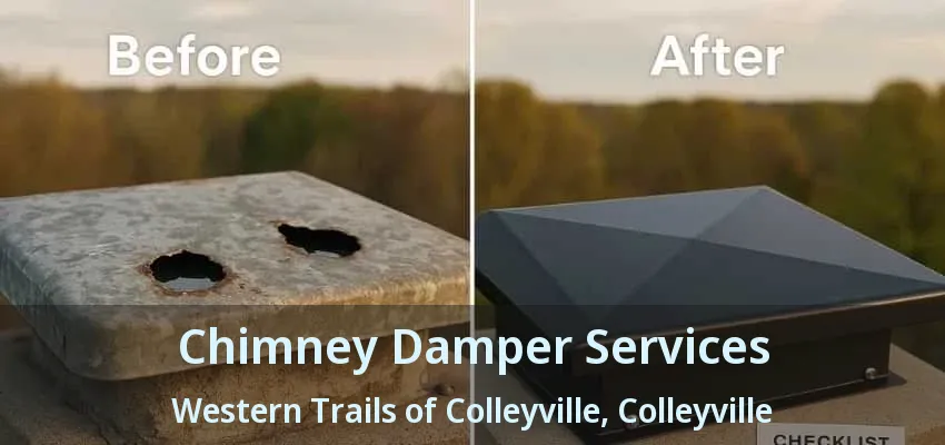 Chimney Damper Services Western Trails of Colleyville, Colleyville - TX