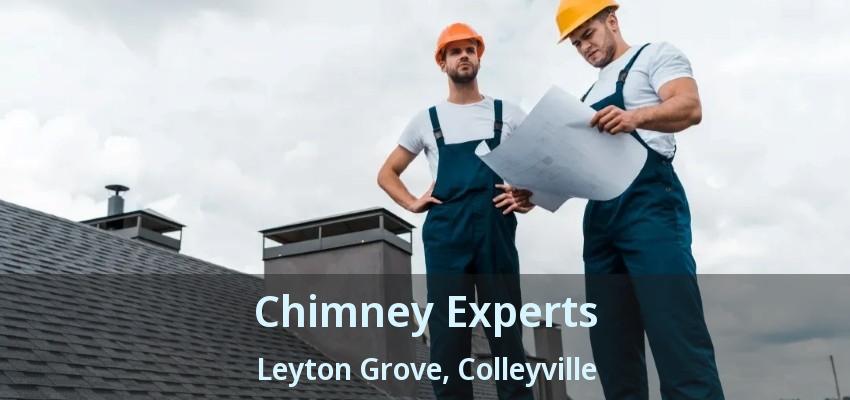 Chimney Experts Leyton Grove, Colleyville - TX