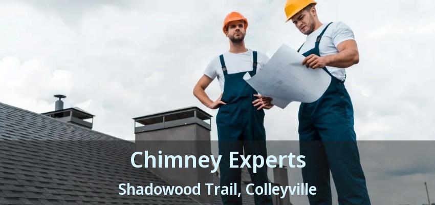 Chimney Experts Shadowood Trail, Colleyville - TX