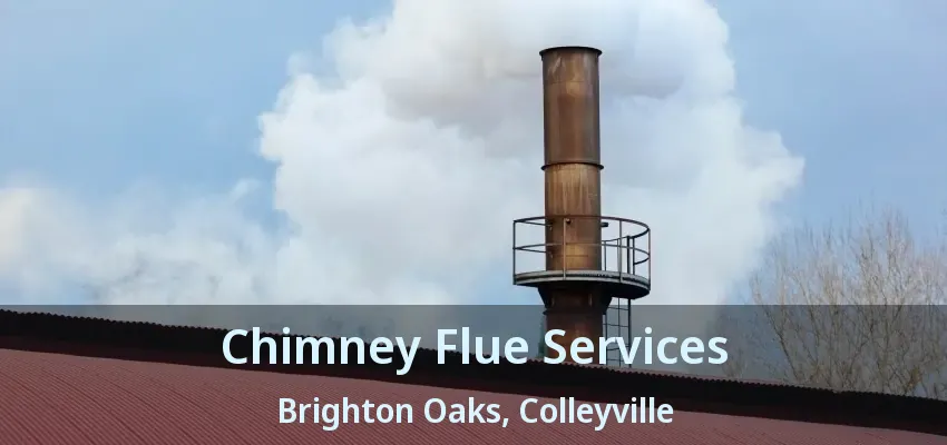 Chimney Flue Services Brighton Oaks, Colleyville - TX