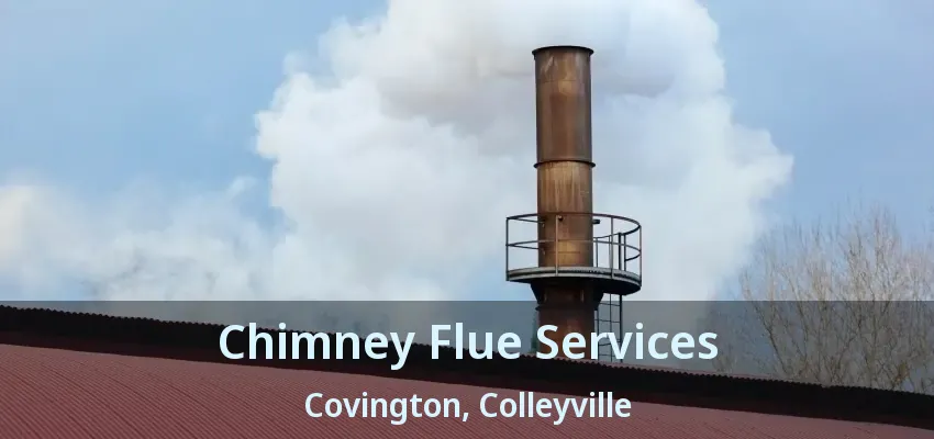 Chimney Flue Services Covington, Colleyville - TX