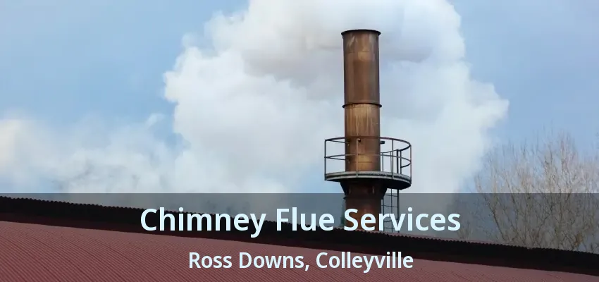 Chimney Flue Services Ross Downs, Colleyville - TX