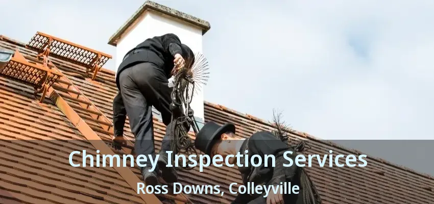 Chimney Inspection Services Ross Downs, Colleyville - TX