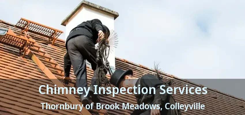 Chimney Inspection Services Thornbury of Brook Meadows, Colleyville - TX