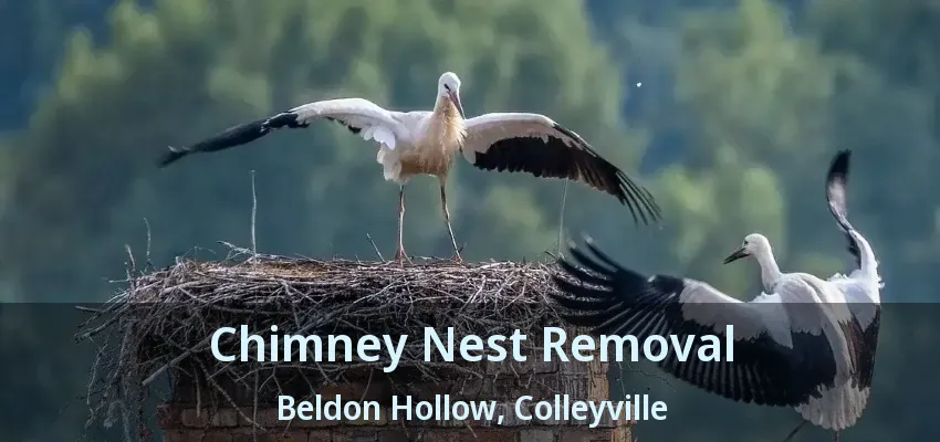 Chimney Nest Removal Beldon Hollow, Colleyville - TX