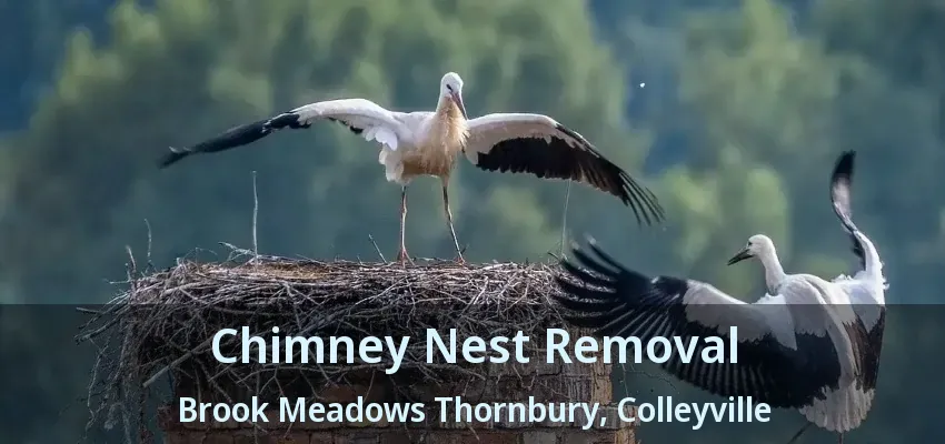 Chimney Nest Removal Brook Meadows Thornbury, Colleyville - TX