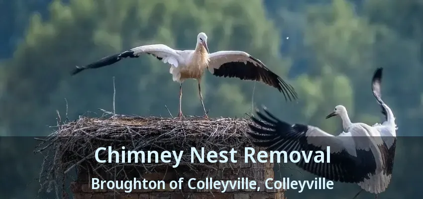 Chimney Nest Removal Broughton of Colleyville, Colleyville - TX
