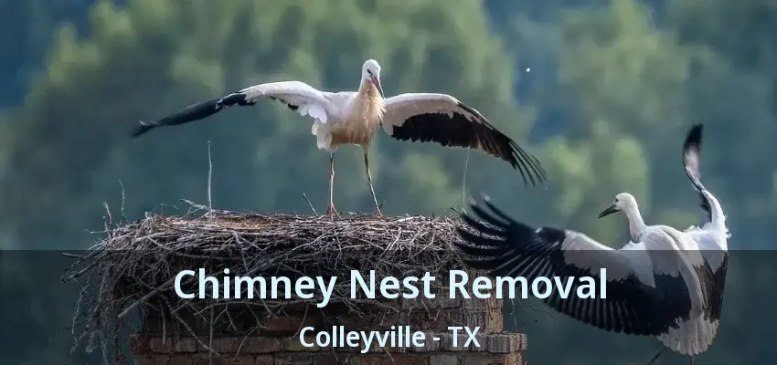 Chimney Nest Removal Colleyville - TX