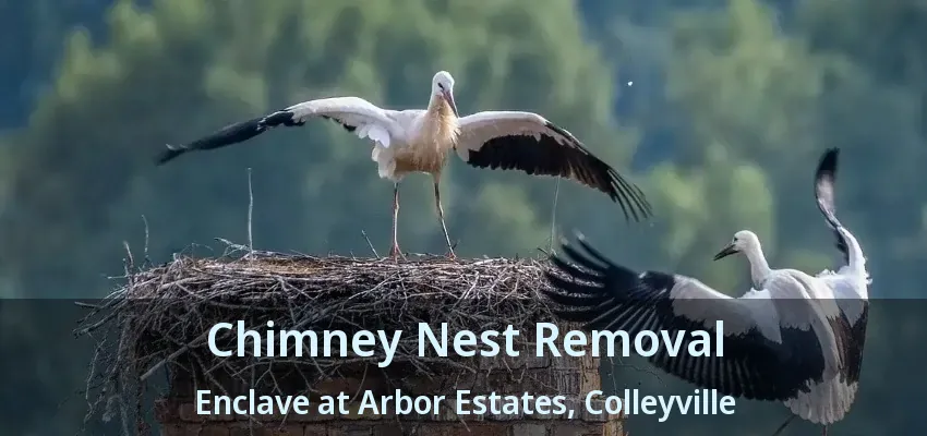 Chimney Nest Removal Enclave at Arbor Estates, Colleyville - TX