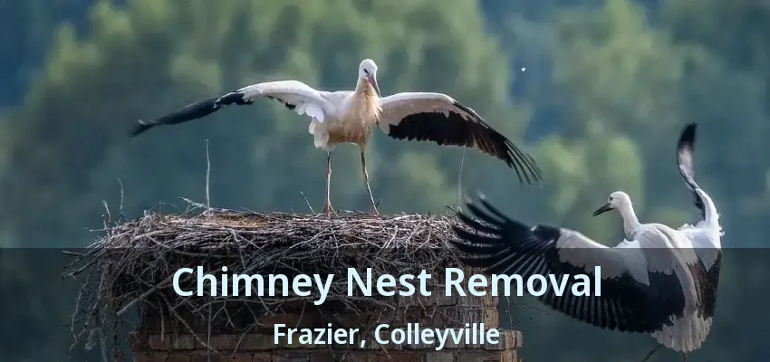 Chimney Nest Removal Frazier, Colleyville - TX