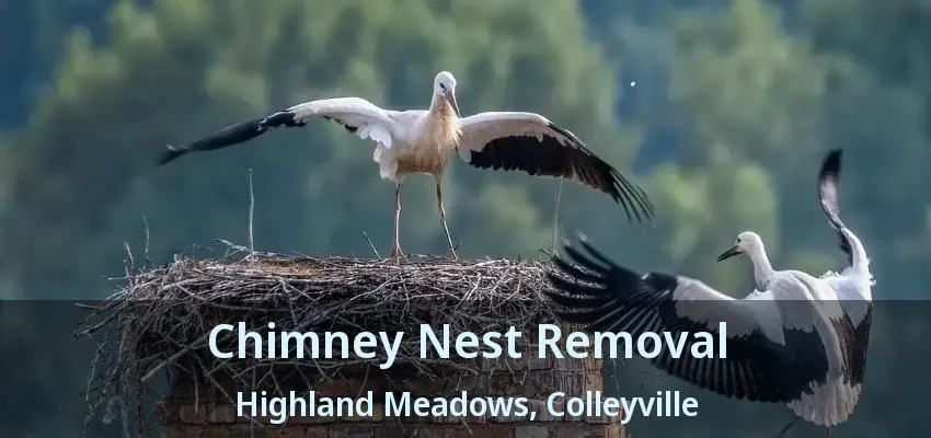 Chimney Nest Removal Highland Meadows, Colleyville - TX