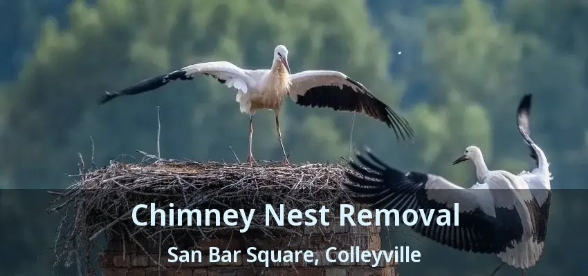 Chimney Nest Removal San Bar Square, Colleyville - TX