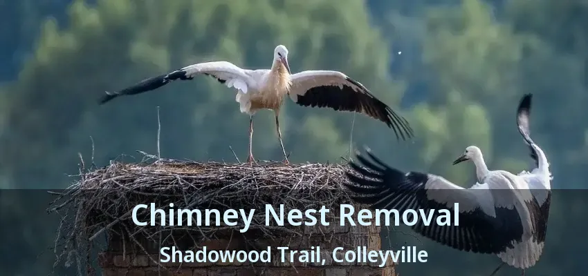 Chimney Nest Removal Shadowood Trail, Colleyville - TX
