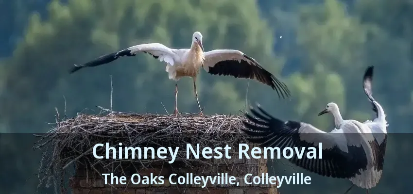 Chimney Nest Removal The Oaks Colleyville, Colleyville - TX