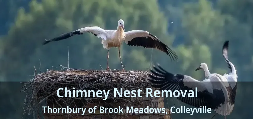 Chimney Nest Removal Thornbury of Brook Meadows, Colleyville - TX