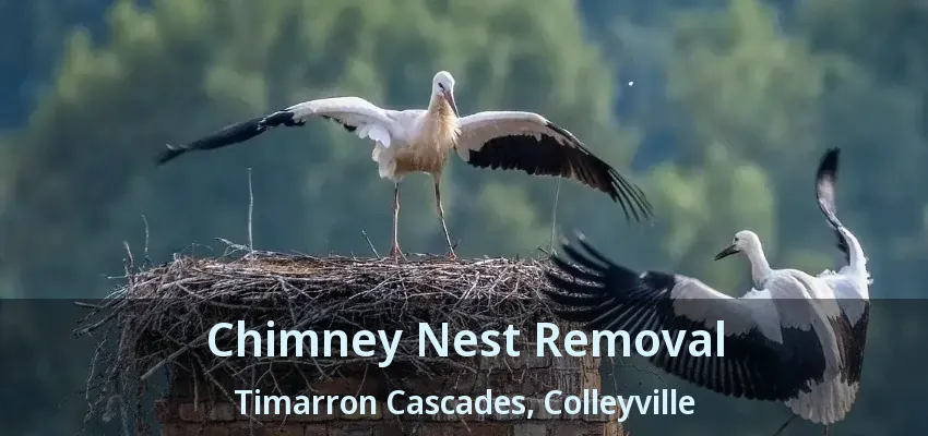Chimney Nest Removal Timarron Cascades, Colleyville - TX