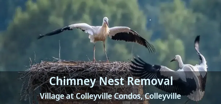 Chimney Nest Removal Village at Colleyville Condos, Colleyville - TX