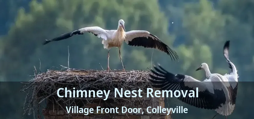 Chimney Nest Removal Village Front Door, Colleyville - TX