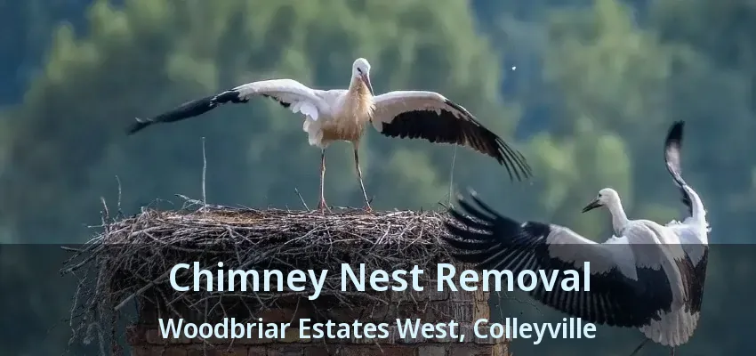 Chimney Nest Removal Woodbriar Estates West, Colleyville - TX
