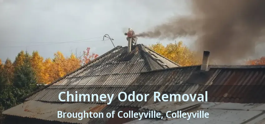 Chimney Odor Removal Broughton of Colleyville, Colleyville - TX