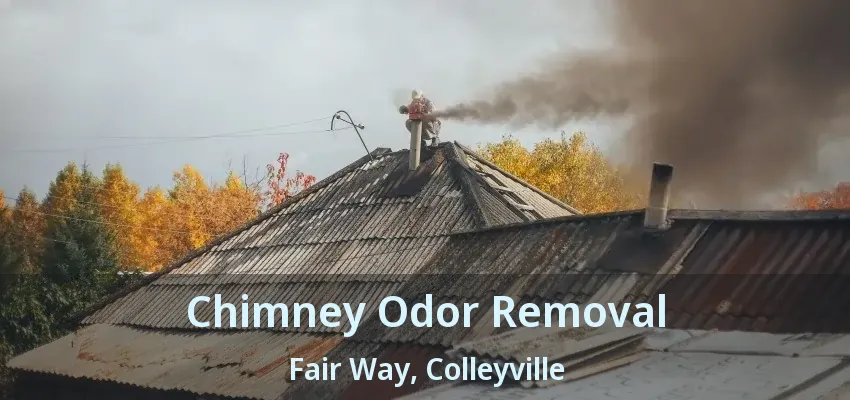 Chimney Odor Removal Fair Way, Colleyville - TX