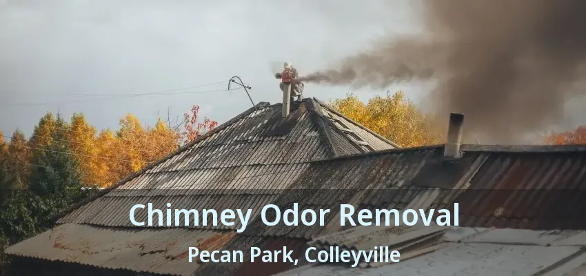 Chimney Odor Removal Pecan Park, Colleyville - TX