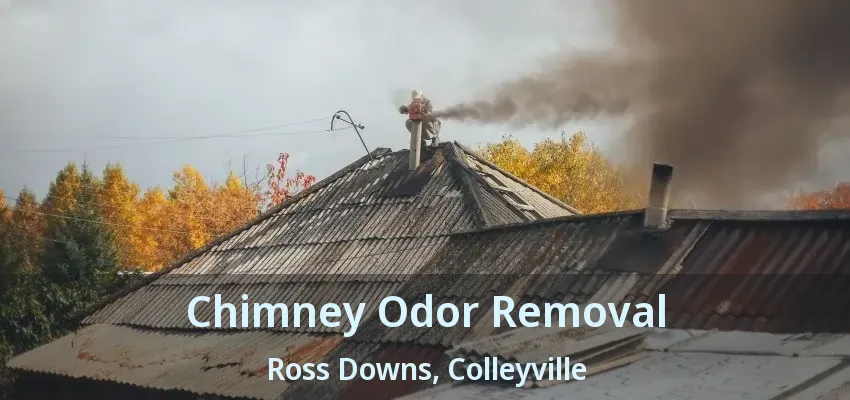 Chimney Odor Removal Ross Downs, Colleyville - TX