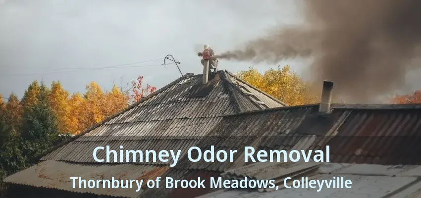 Chimney Odor Removal Thornbury of Brook Meadows, Colleyville - TX