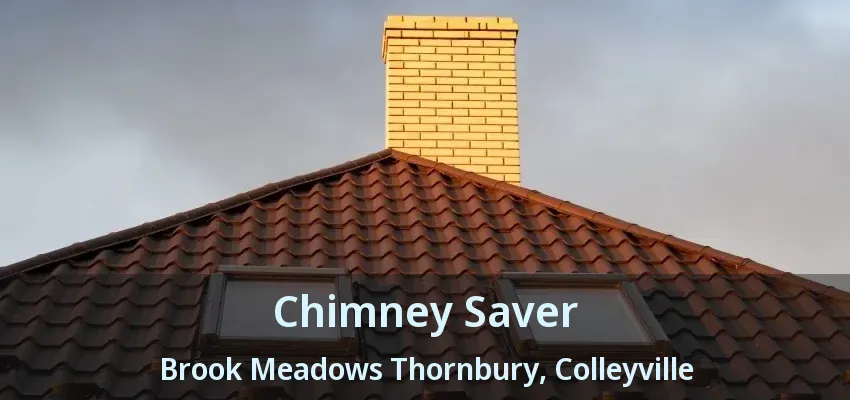 Chimney Saver Brook Meadows Thornbury, Colleyville - TX