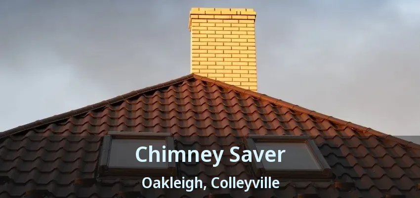 Chimney Saver Oakleigh, Colleyville - TX