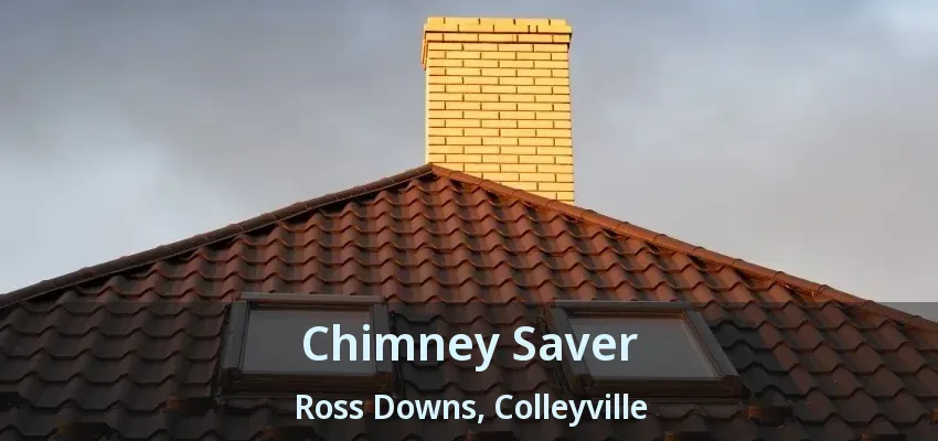 Chimney Saver Ross Downs, Colleyville - TX
