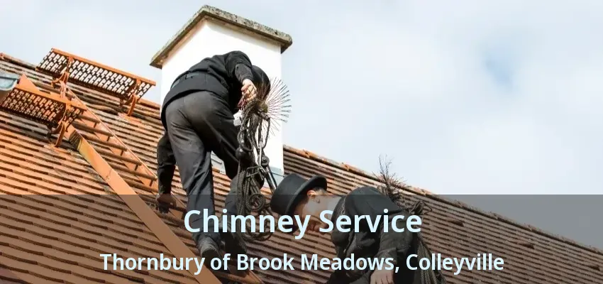 Chimney Service Thornbury of Brook Meadows, Colleyville - TX