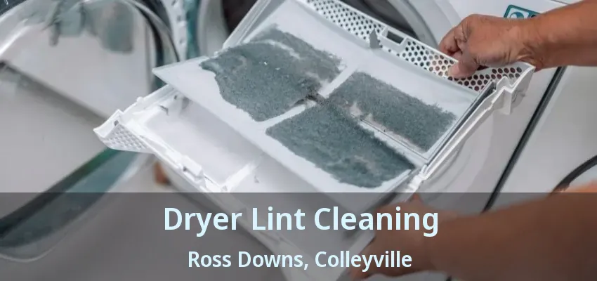 Dryer Lint Cleaning Ross Downs, Colleyville - TX