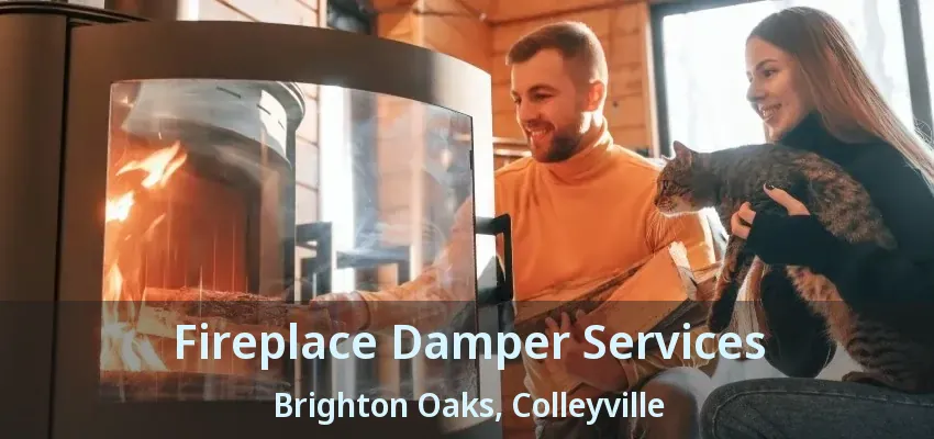 Fireplace Damper Services Brighton Oaks, Colleyville - TX