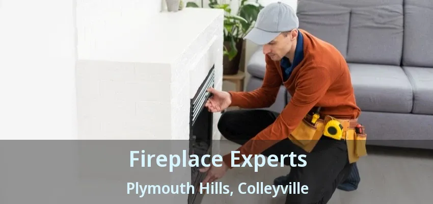 Fireplace Experts Plymouth Hills, Colleyville - TX